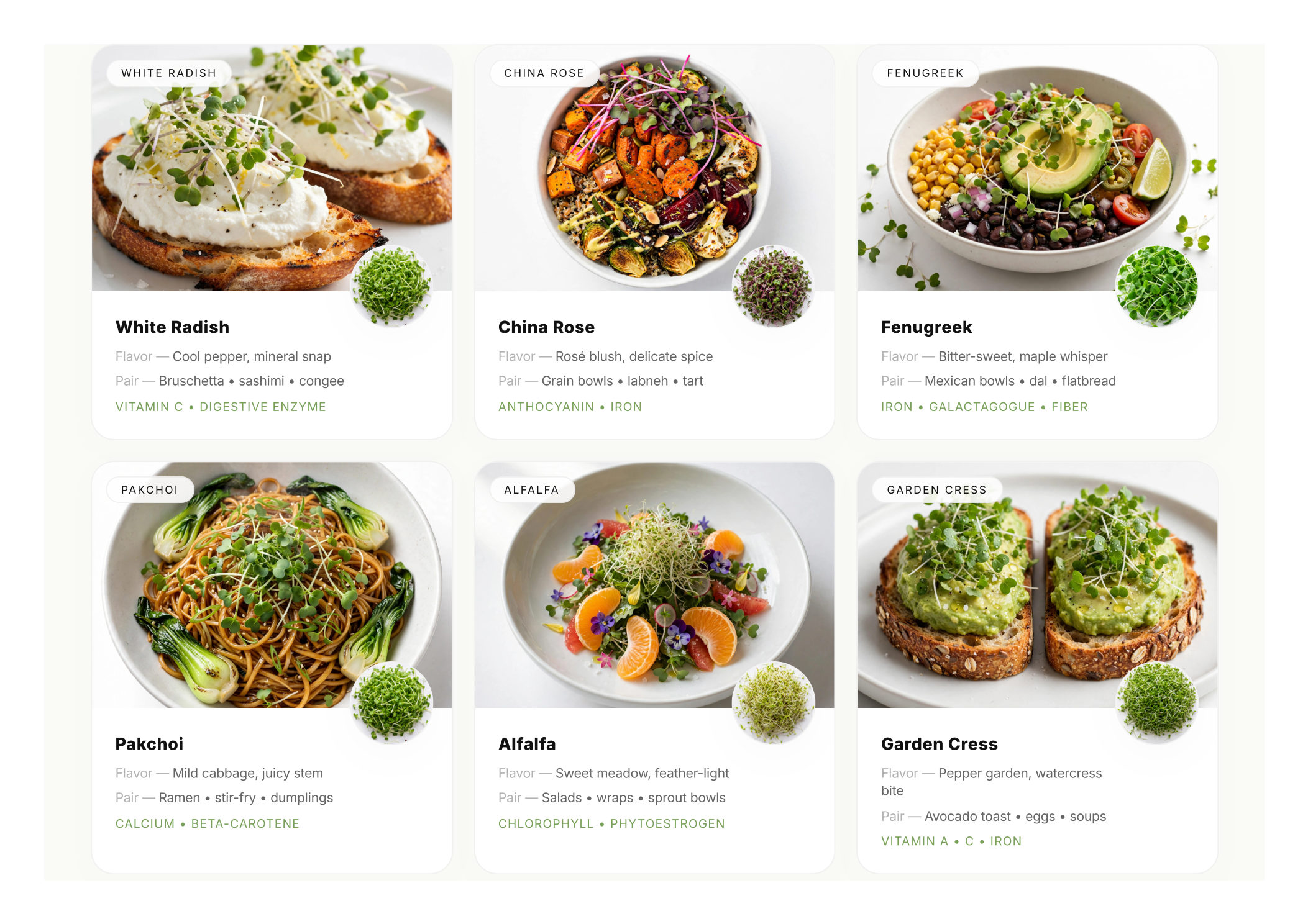 Greensome Atelier brochure page 5 — Varieties