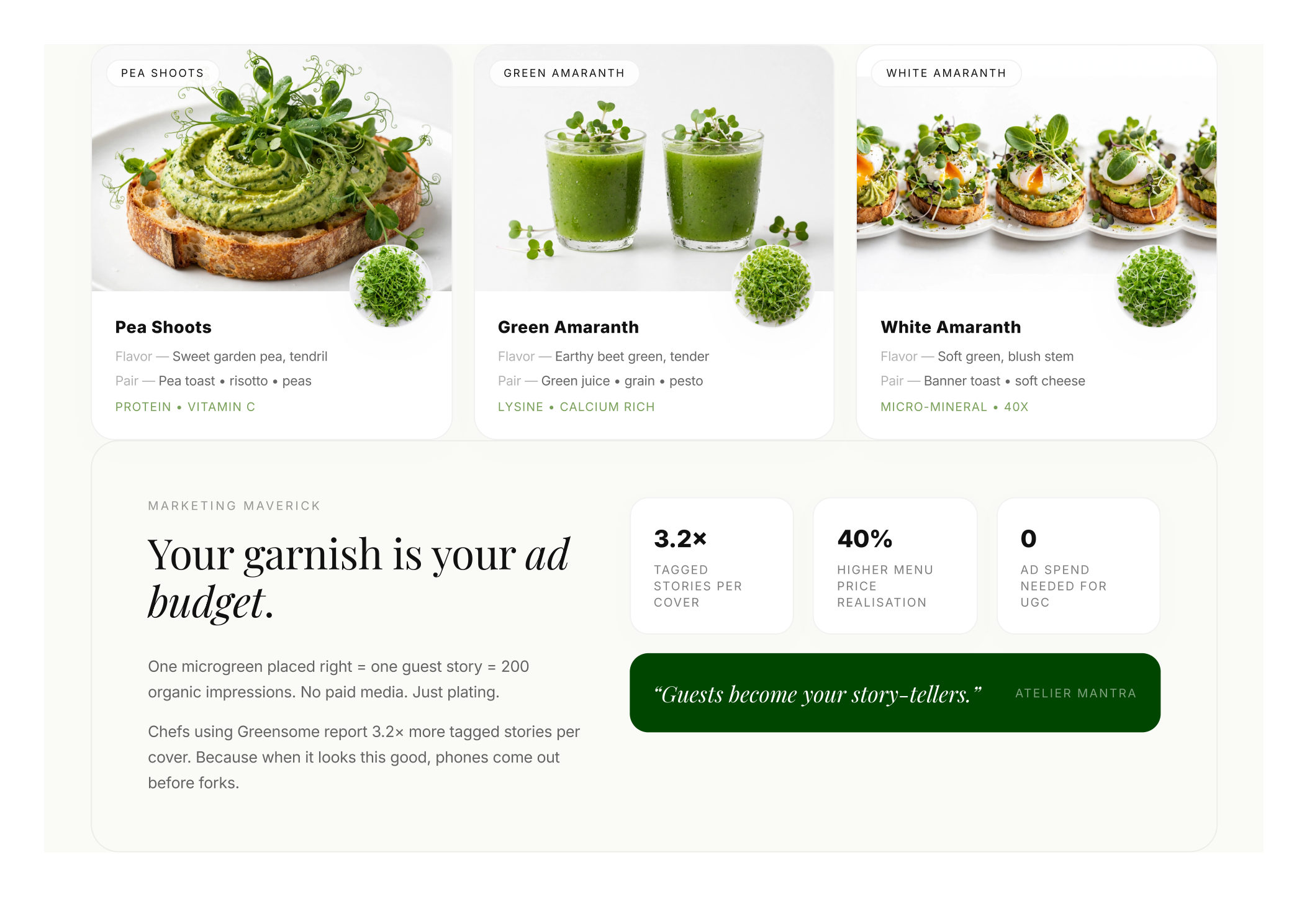 Greensome Atelier brochure page 6 — Nutrition