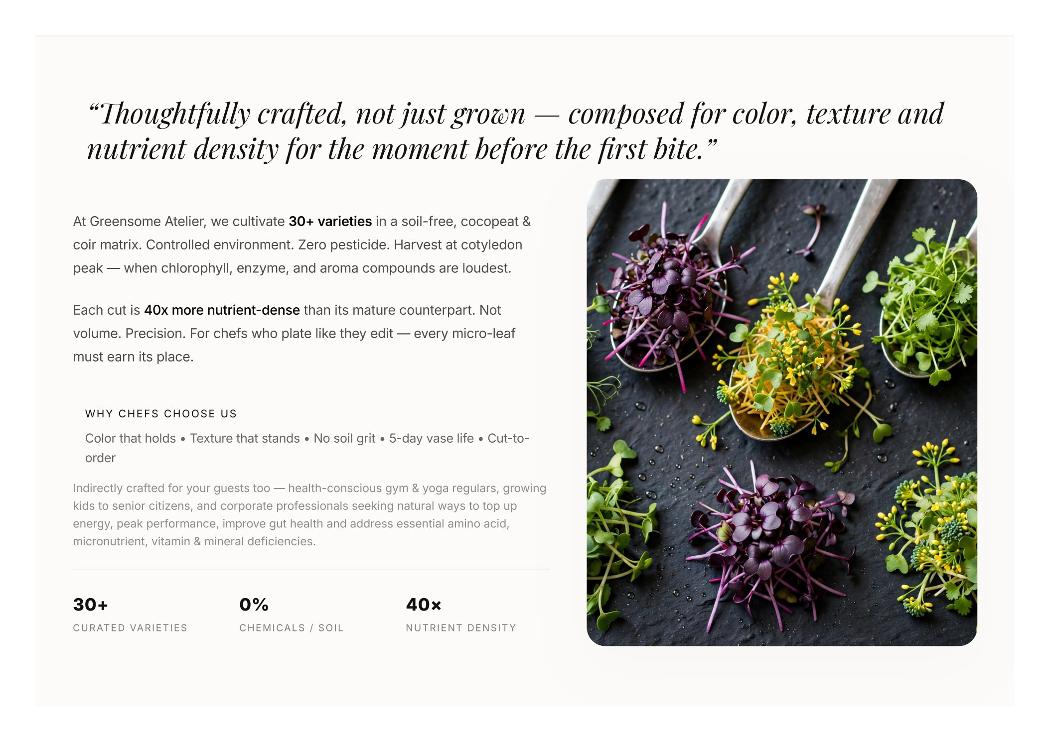 Greensome Atelier brochure page 7 — How to Order