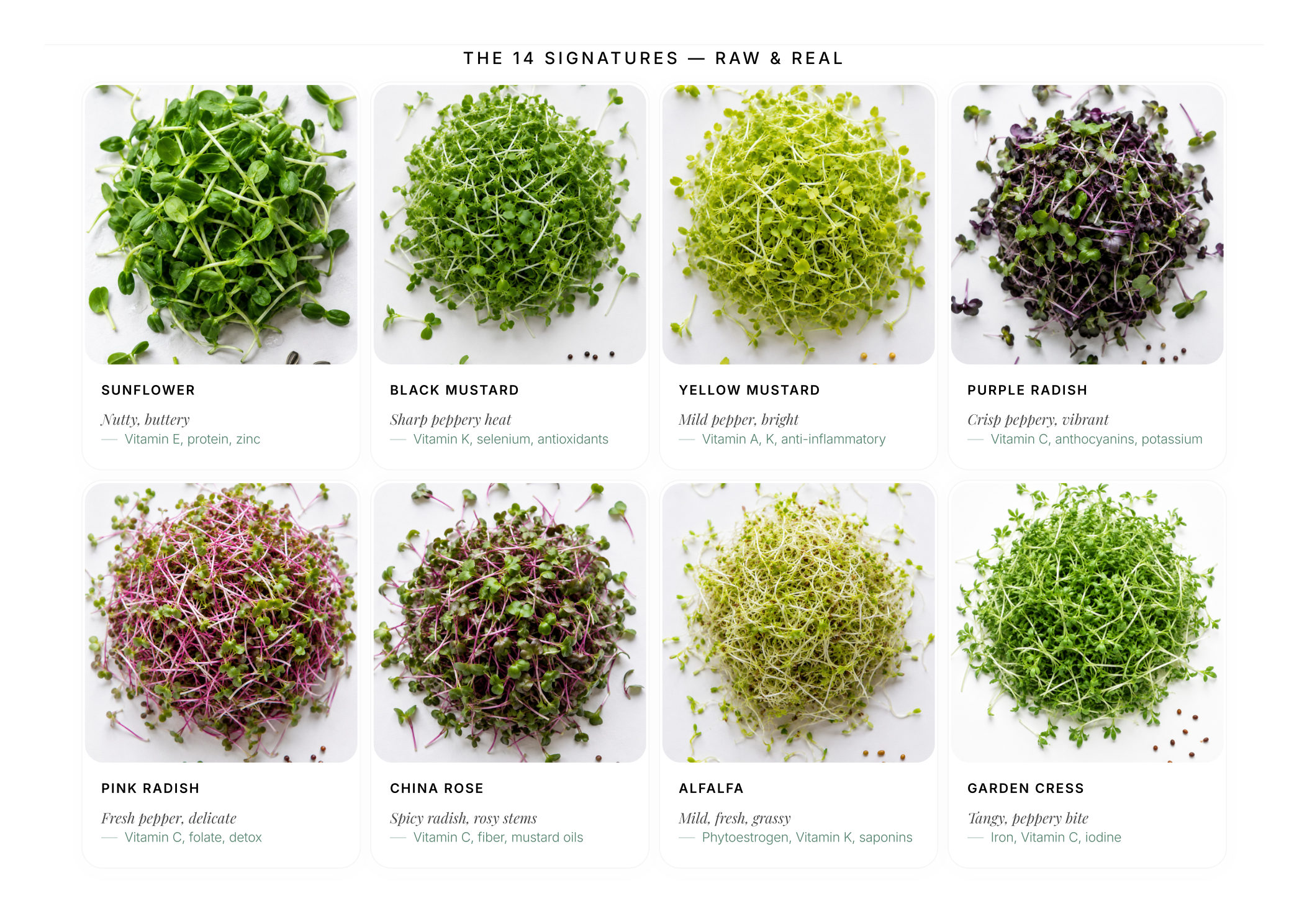 Greensome Atelier brochure page 8 — For Restaurants