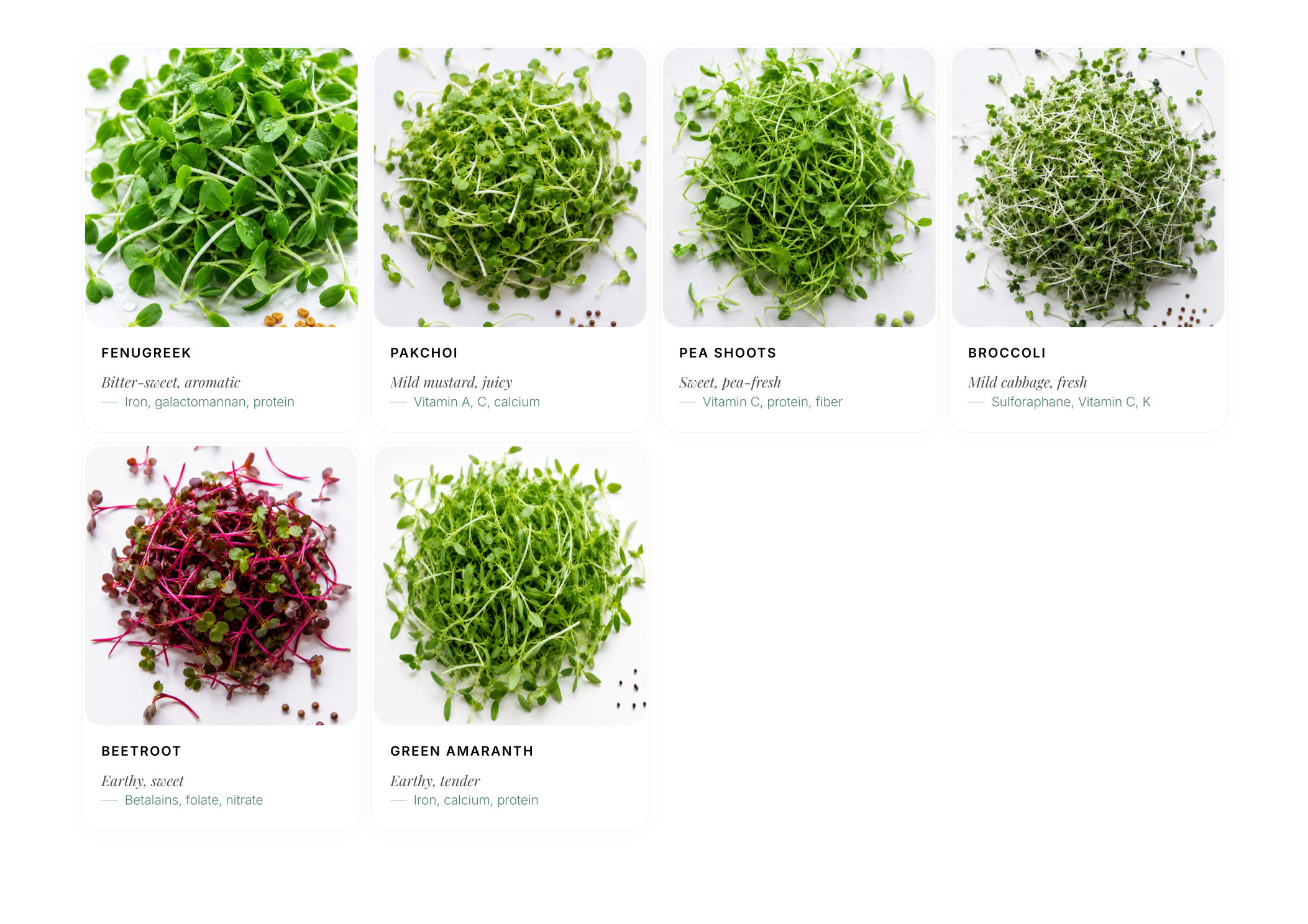 Greensome Atelier brochure page 9 — Subscriptions